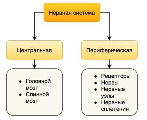 Виды и составляющие абсорберной системы