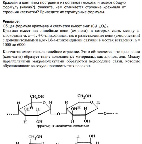 Виды крахмала и их особенности