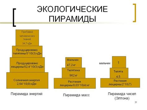 Виды куканов и их эффективность