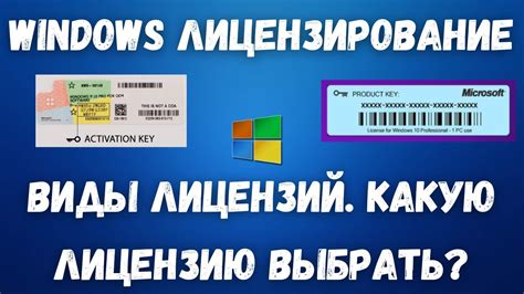 Виды лицензий для спортивных клубов: какую выбрать