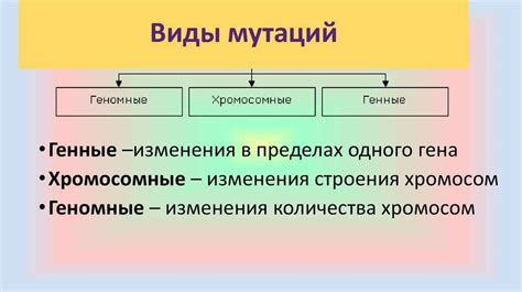 Виды мутаций генов