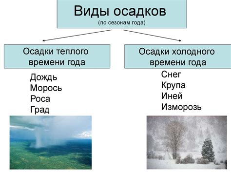 Виды осадков и их формирование