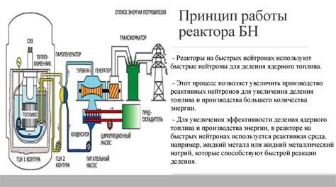 Виды реакторов на атомных электростанциях