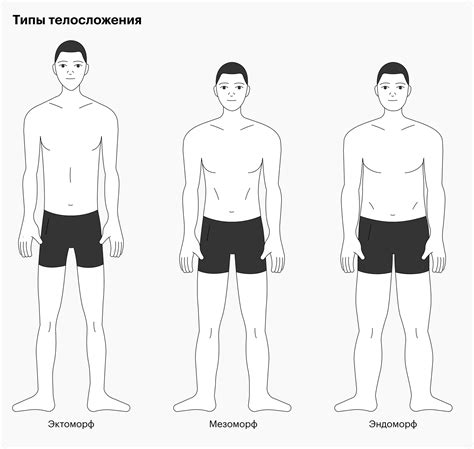 Вид телосложения мезоморфа