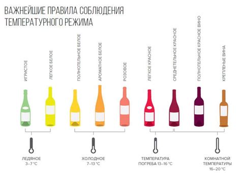 Вино и шампанское: сходства и различия