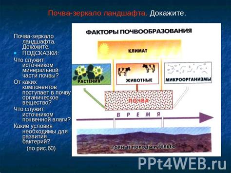 Виртуальные условия и отсутствие реальной почвы