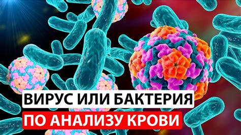 Вирусная инфекция, к счастью, под контролем