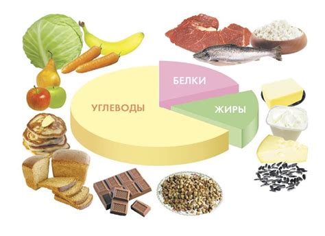 Витамины и питательные вещества в красном мясе и их значение для ребенка