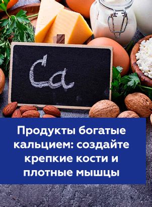 Витамины и продукты, богатые кальцием