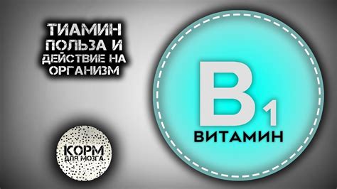 Витамин B1 - важность и польза