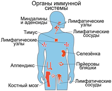 Витилиго и другие автоиммунные заболевания