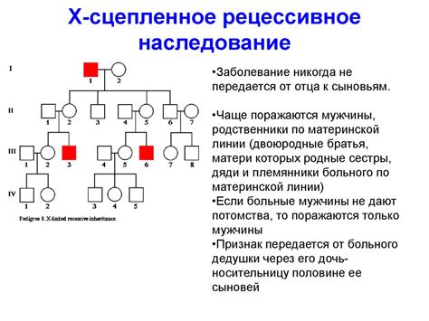 Вклад генетики: наследуемое поведение или срыв поколений?