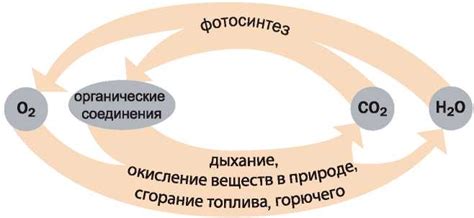 Вклад кислорода в образование химических соединений