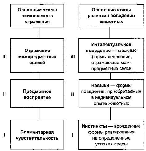 Включение видеомагнитофона: основные этапы и функции