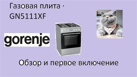 Включение плиты Gorenje