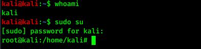 Включение root в Kali Linux: шаг за шагом