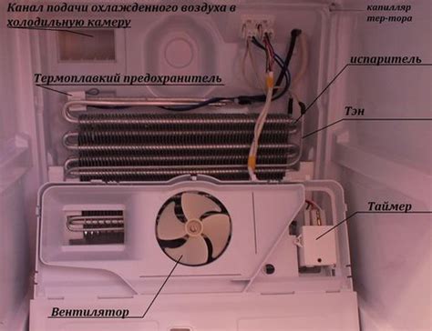 Включите холодильник в электросеть