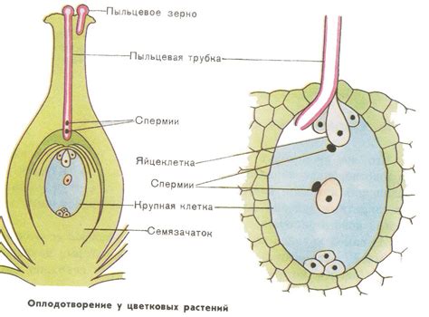 Влага проникает через упаковку