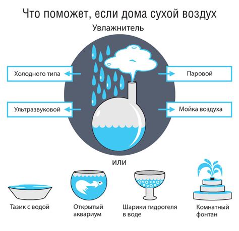 Влажность воздуха для кротона