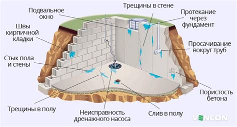 Влажность в частном доме: причины и последствия