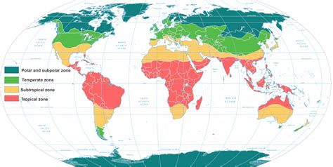 Влажный климат и низкая температура