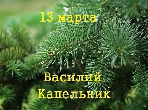 Влияние Василия Капельника на культуру