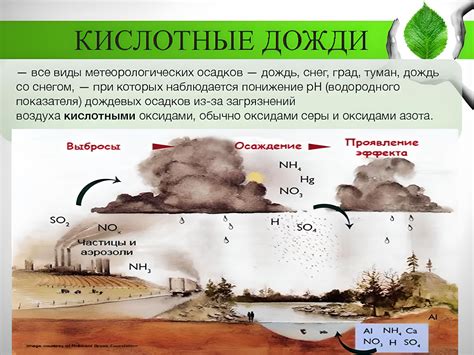 Влияние ДДТ на экосистемы: угроза биоразнообразию и вымирание видов