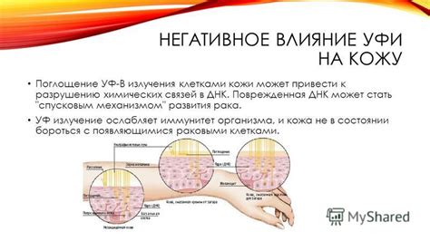 Влияние УФ-излучения на организм