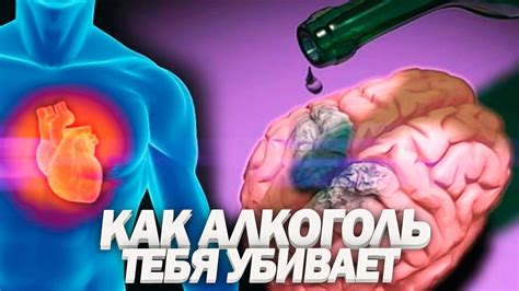 Влияние алкоголя на процесс восстановления