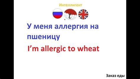 Влияние аллергии на учебный процесс в садике