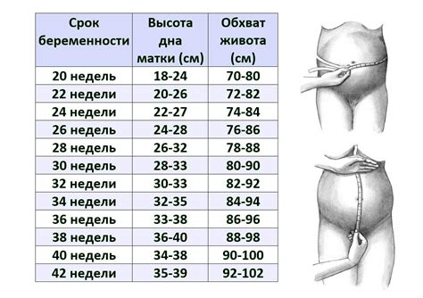 Влияние беременности на мышцы живота