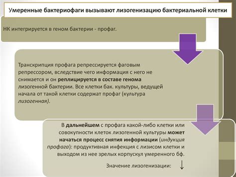 Влияние биологических факторов на женскую психологию