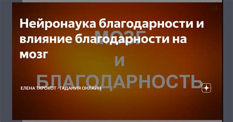 Влияние благодарности на духовность