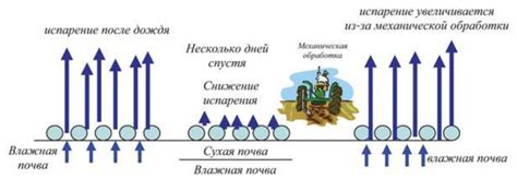 Влияние ветра на испарение влаги