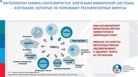 Влияние вирусов на здоровье