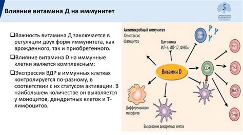 Влияние витамина D и цинка на общее самочувствие