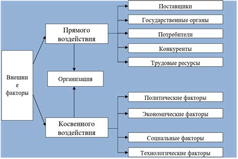 Влияние внешних факторов и общества