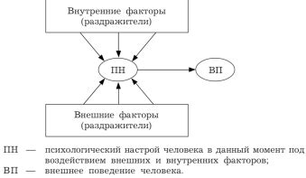 Влияние внешних факторов и поведение