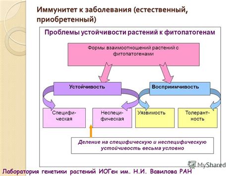 Влияние внешних факторов на возникновение фиолетового пятна