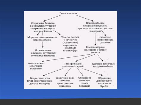 Влияние внешних факторов на процесс метаморфоз