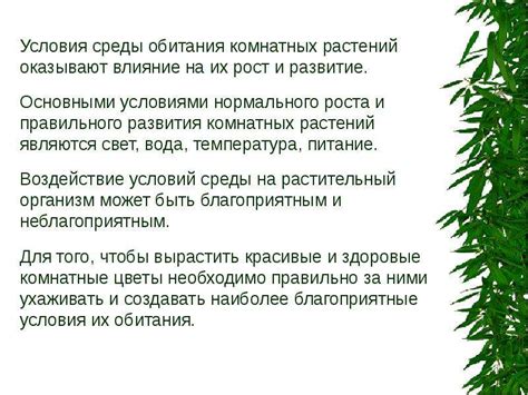 Влияние внешних факторов на работу "Тайной розы ботании"