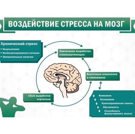 Влияние внешних факторов на работу мозга: стресс, питание и сон