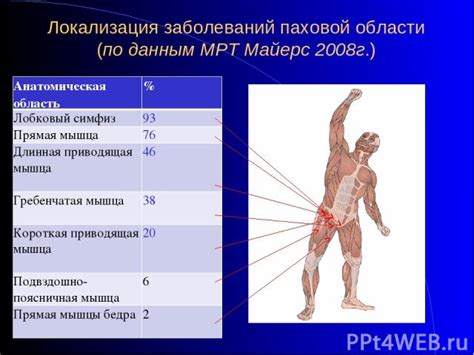 Влияние возраста на кровоснабжение паховой области