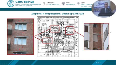 Влияние вредителей и механических повреждений