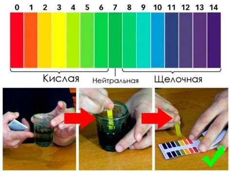 Влияние времени маринования на кислотность