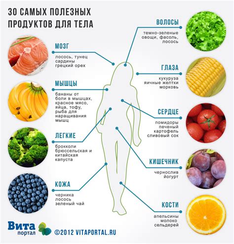 Влияние выбора питания на организм