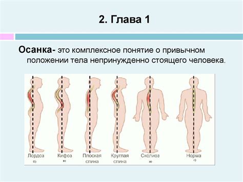 Влияние вытяжки на позвоночник