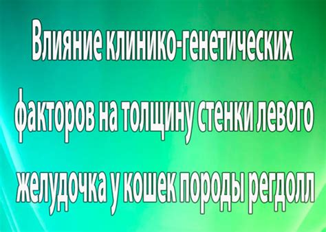 Влияние генетических факторов на форму рта у мимимишек