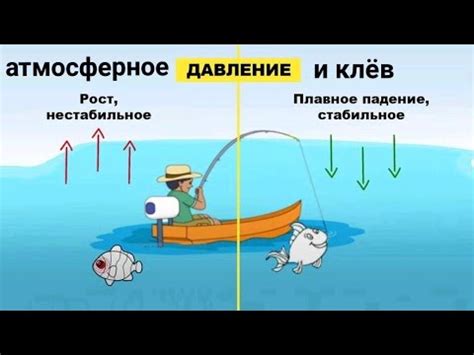 Влияние географии на стоимость рыбы