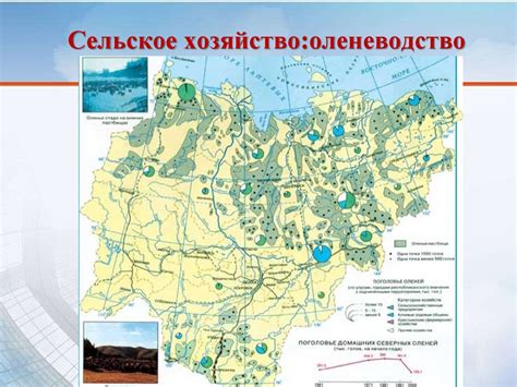 Влияние географического положения на длительность суток